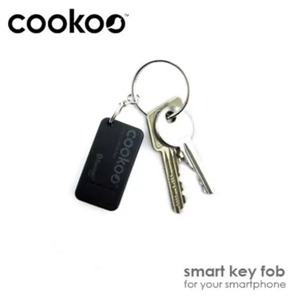 Cookoo Smart Key Fob