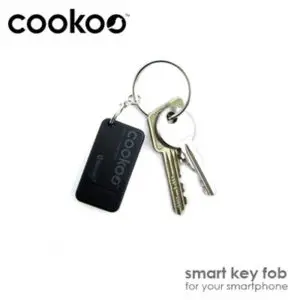 Cookoo Smartwatch Keychain Key Fob